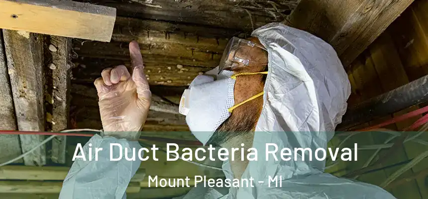 Air Duct Bacteria Removal Mount Pleasant - MI