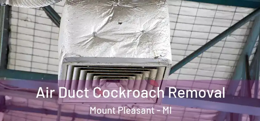  Air Duct Cockroach Removal Mount Pleasant - MI