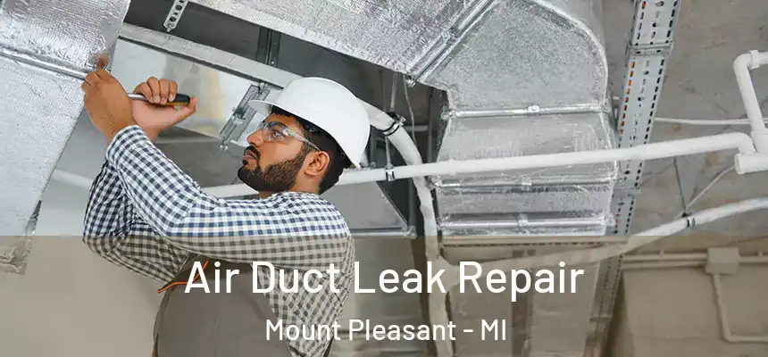 Air Duct Leak Repair Mount Pleasant - MI