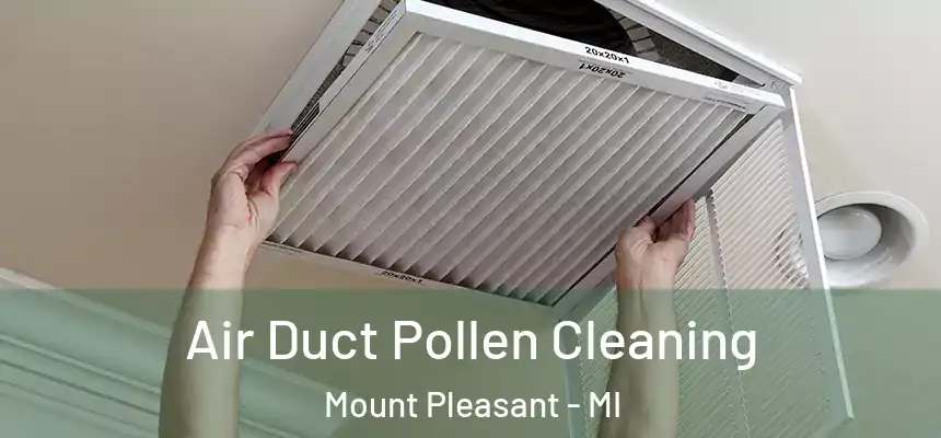 Air Duct Pollen Cleaning Mount Pleasant - MI