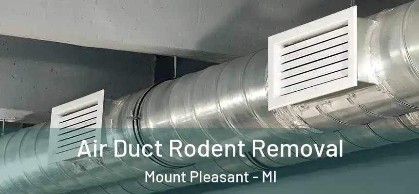 Air Duct Rodent Removal Mount Pleasant - MI