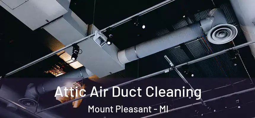  Attic Air Duct Cleaning Mount Pleasant - MI