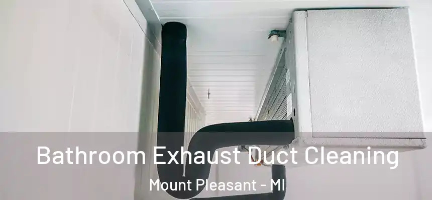  Bathroom Exhaust Duct Cleaning Mount Pleasant - MI
