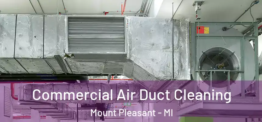 Commercial Air Duct Cleaning Mount Pleasant - MI