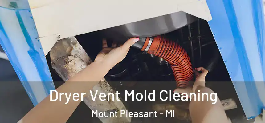  Dryer Vent Mold Cleaning Mount Pleasant - MI