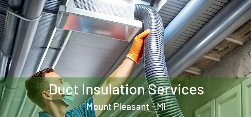 Duct Insulation Services Mount Pleasant - MI