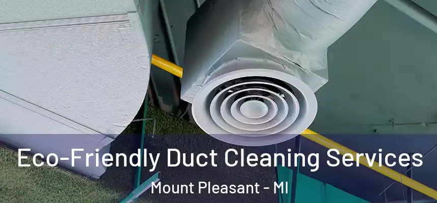 Eco-Friendly Duct Cleaning Services Mount Pleasant - MI