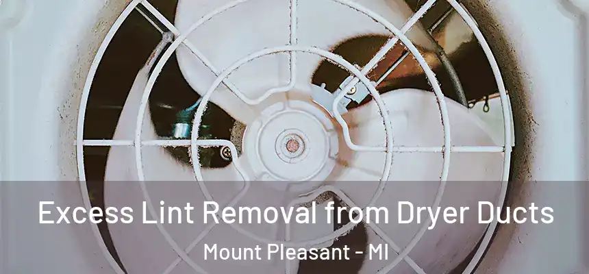 Excess Lint Removal from Dryer Ducts Mount Pleasant - MI
