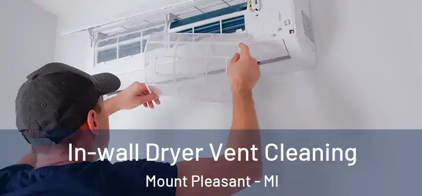 In-wall Dryer Vent Cleaning Mount Pleasant - MI