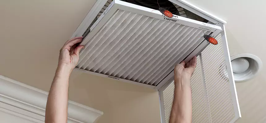 Preventive Cockroach-Proofing for Ducts in Mount Pleasant