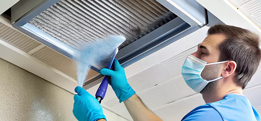 Proactive Dryer Vent & Auxiliary Duct Pollen Cleanup in Mount Pleasant, MI