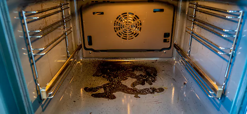 Our Dryer Vent Mold Cleaning Services in Mount Pleasant, MI