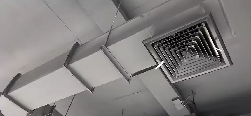 Our Pest Removal From Ducts Services in Mount Pleasant, MI