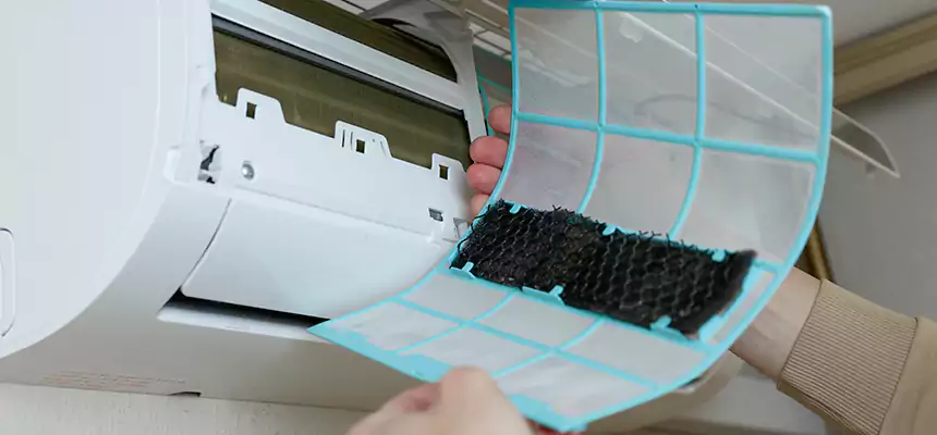 Gentle Ductwork Odor-Control Pet Dander Duct Cleaning in Mount Pleasant, MI