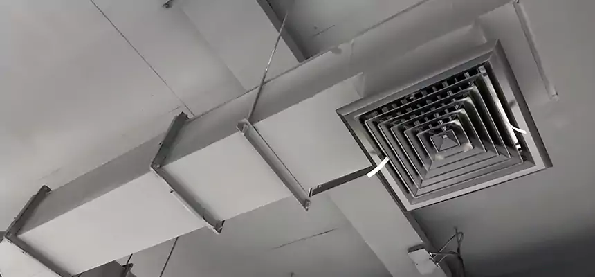 Our Rodent Droppings In Vents Services in Mount Pleasant, MI