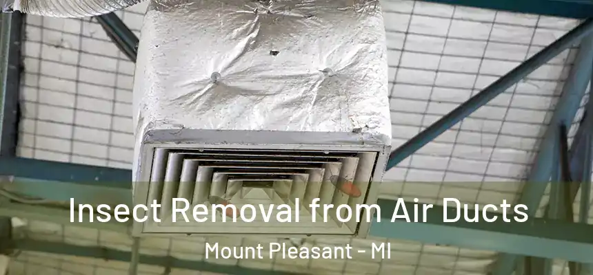  Insect Removal from Air Ducts Mount Pleasant - MI