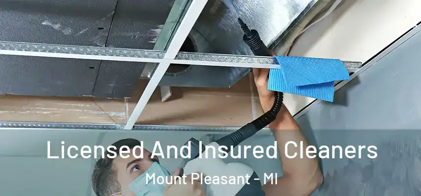  Licensed And Insured Cleaners Mount Pleasant - MI