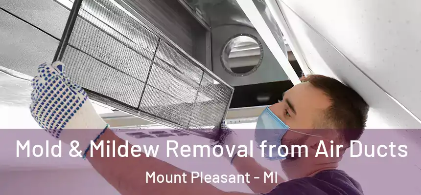  Mold & Mildew Removal from Air Ducts Mount Pleasant - MI