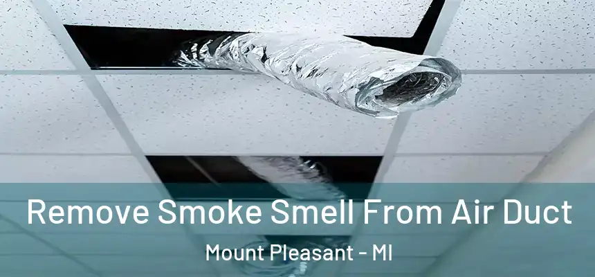Remove Smoke Smell From Air Duct Mount Pleasant - MI