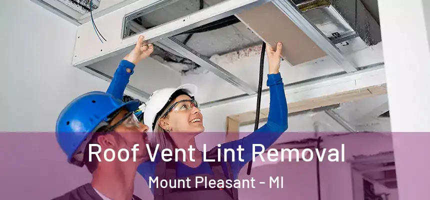 Roof Vent Lint Removal Mount Pleasant - MI