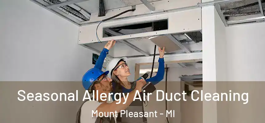 Seasonal Allergy Air Duct Cleaning Mount Pleasant - MI