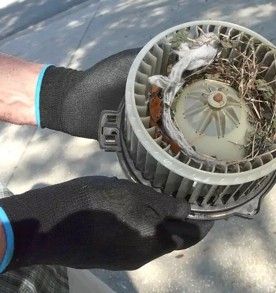 About Air Duct Mice Removal in Mount Pleasant, MI