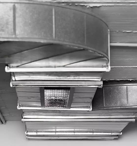 Professional Air Duct Pest Removal in Mount Pleasant, MI