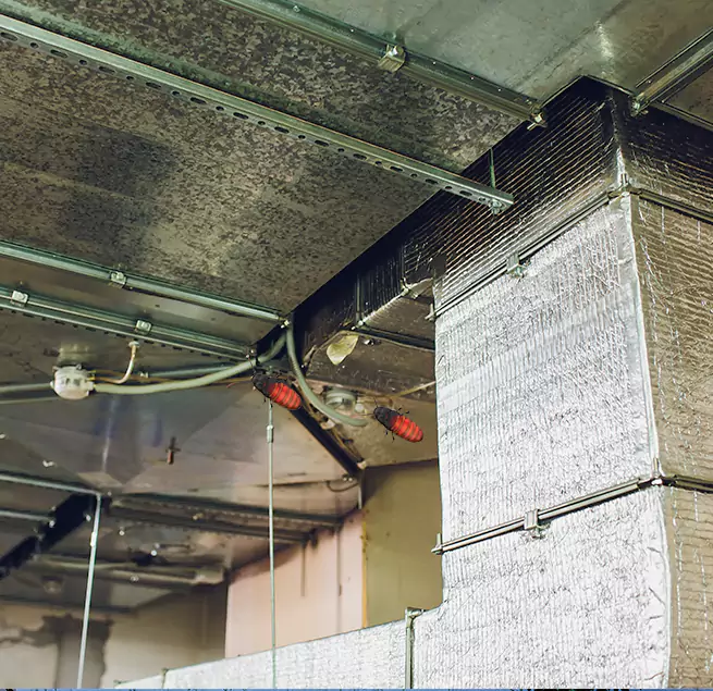 Why Homeowners & Businesses Trust Us in Mount Pleasant, MI?