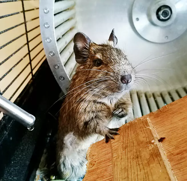 Why Homeowners & Businesses Trust Us Mount Pleasant, MI?