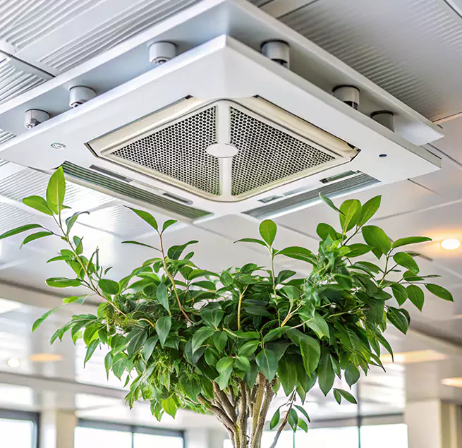 Why Homeowners & Businesses Trust Us in Mount Pleasant, MI?