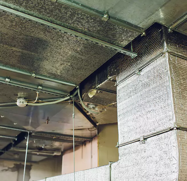 Why Homeowners & Businesses Trust Us in Mount Pleasant, MI?