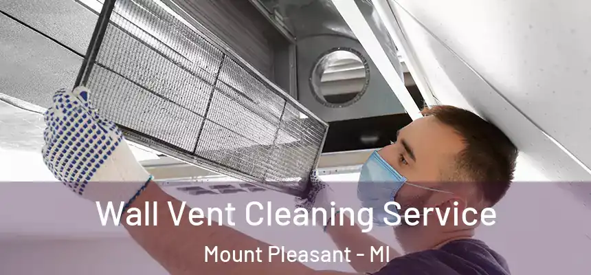  Wall Vent Cleaning Service Mount Pleasant - MI